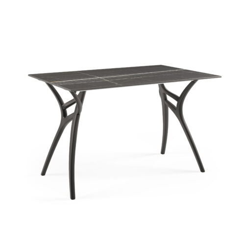 Table IVY-L 77X120 CM