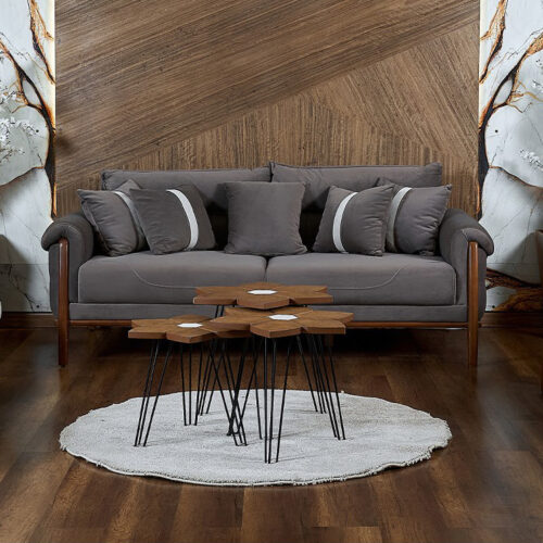 Echo sofa set