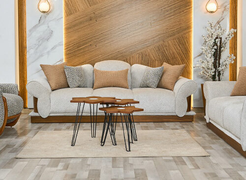 Fly sofa set
