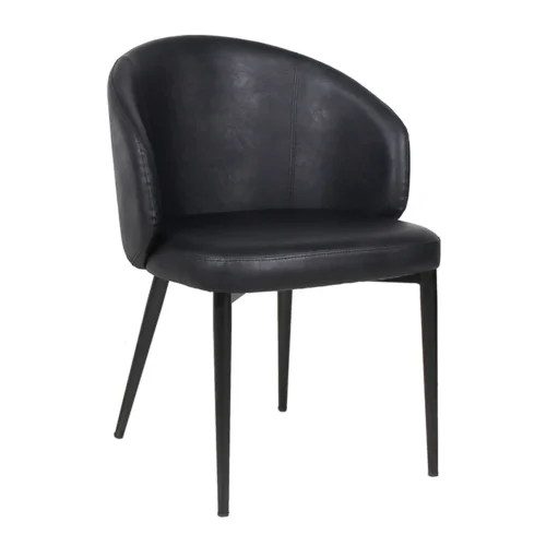 Leisure Restaurant Chair